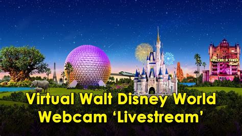 walt disney world live cam